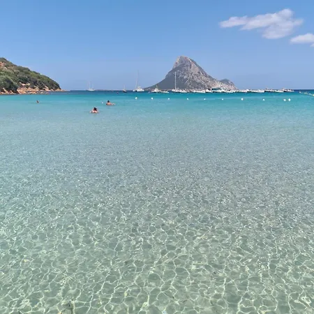 Апартаменти Relax By The Sea And Rocks! 5-minute Walk To The Sea Ольбія